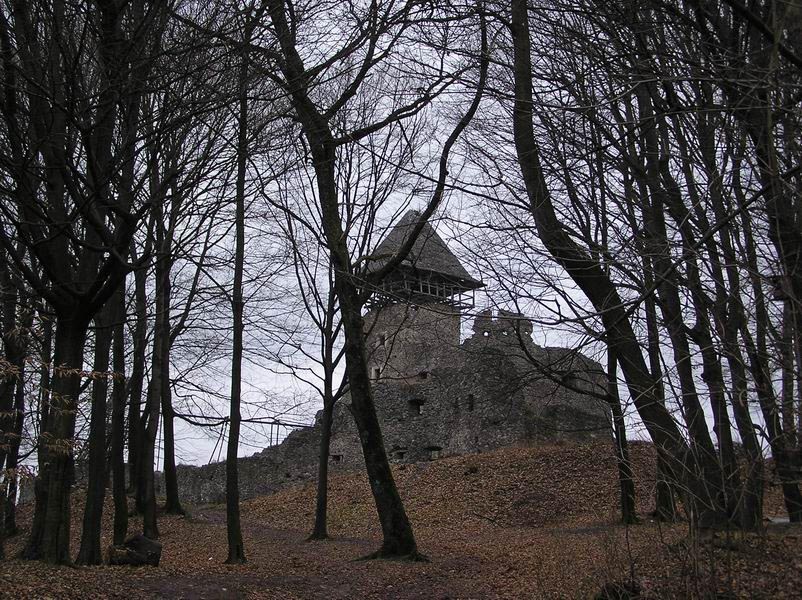 Невицкий замок