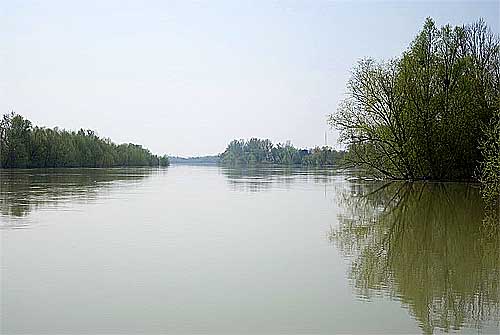 Река Луга