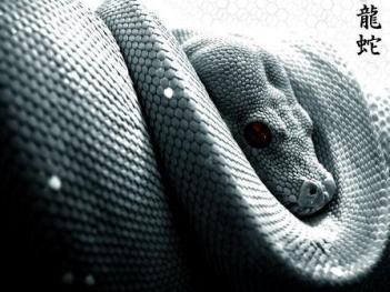 Змея - символ мудрости и гибкости.