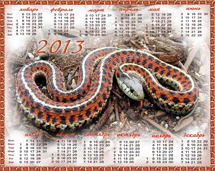 Тоже не плохой вариант календаря на 2013 год со змеей.