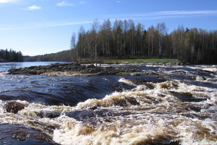 Река шуя в карелии фото