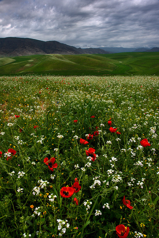 Природа узбекистана фото в высоком качестве