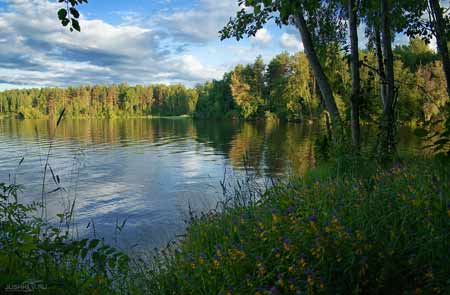 Озеро велье новгородская область фото