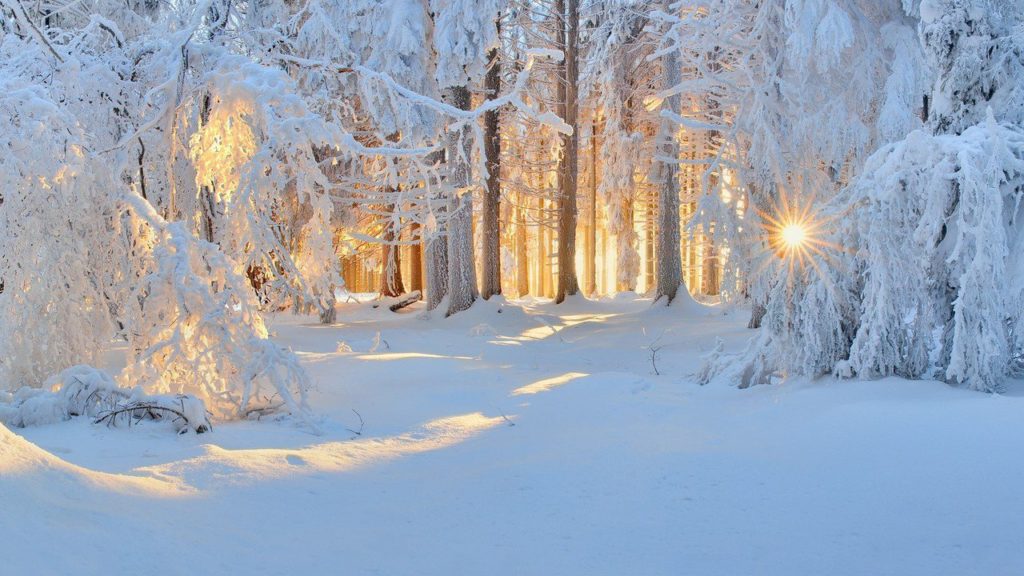 Новогодние заставки - красивая зимняя природа картинки