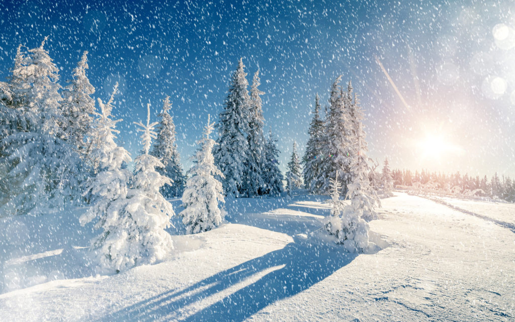 Новогодние заставки - пейзажи зимней природы
