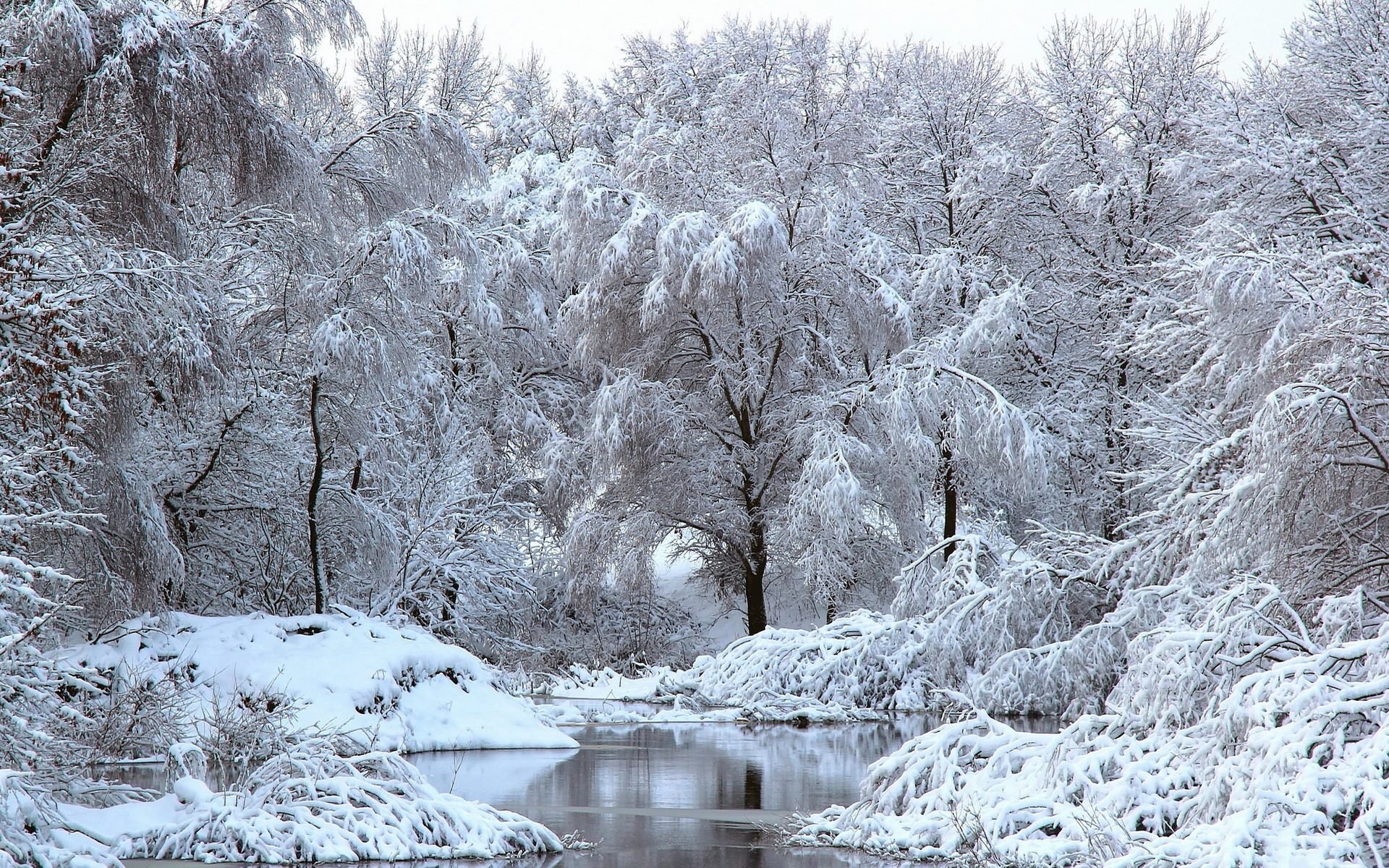 Новогодние заставки - пейзажи зимней природы