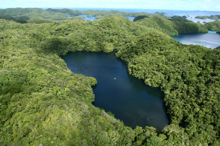 Самые популярные озера мира - озеро Медуз
